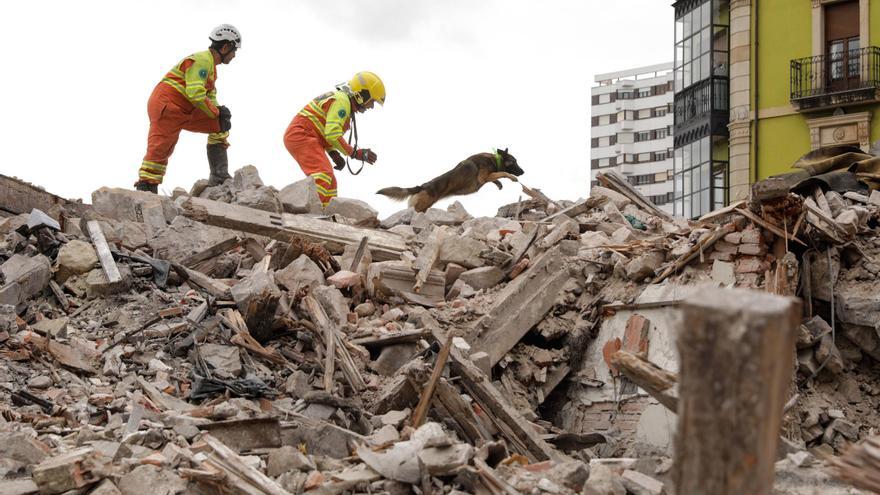 ¿Qué hacía la Unidad Canina de Rescate en las ruinas del edificio de El Jazmín, en Gijón?