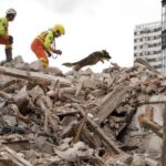 El entrenamiento de la Unidad Canina de Rescate del Principado en Gijón, en imágenes