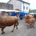 Poco ganado, pero muy buenos precios en la Feriona de Corao, «la mejor de España»