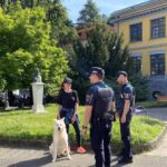 En San Martín hay más perros de los que se pensaba