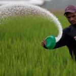 La degradación ambiental amenaza la importación de alimentos básicos en la UE