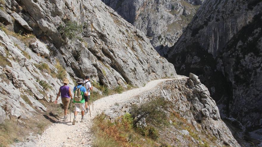 Alerta de la Guardia Civil a todos los que visitan Picos de Europa: «Hasta 200.000 euros de multa»