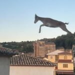 Freno a la invasión de cabras ‘volando’ entre los tejados de un pueblo de Castellón: autorizan más capturas