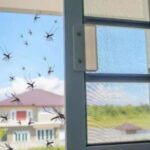 El vaso que debes colocar en la ventana para olvidarte de los mosquitos