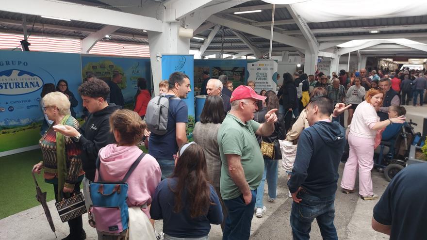 En imágenes: Sábado de lleno en la Feria de Muestras de Tineo