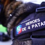 La Policía Nacional pide ayuda a toda España: «Adopta a uno de nuestros perros jubilados»