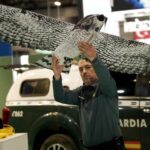 El pájaro de la UCO: la Guardia Civil persigue al crimen organizado con un dron disfrazado de ave