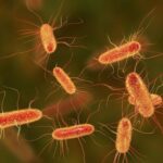 Esta es la bacteria relacionada con el aumento de casos de cáncer colorrectal entre los jóvenes