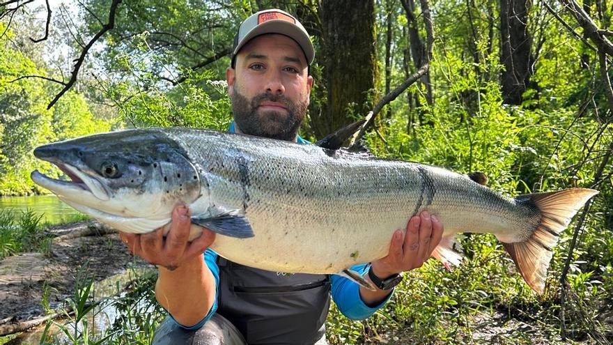 Pablo del Canto pesca en el Narcea el salmón más grande de la temporada