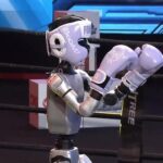 Sorprendentes imágenes del primer campeonato de boxeo entre robots