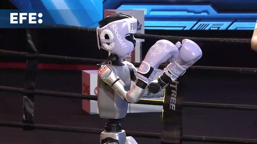 Sorprendentes imágenes del primer campeonato de boxeo entre robots