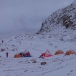 La vida en la Antártida es mucho más rica de lo pensado