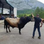 El XXXI Certamen-Exposición de Asturiana de los Valles de Teverga, en imágenes