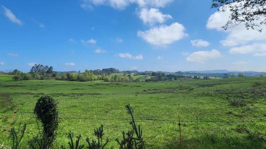 Luz verde para la nueva ciudad deportiva: El Oviedo cierra la compra de La Belga, solo falta la firma