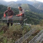 Pajares busca alejar al oso de los pueblos con mil frutales «gourmet»