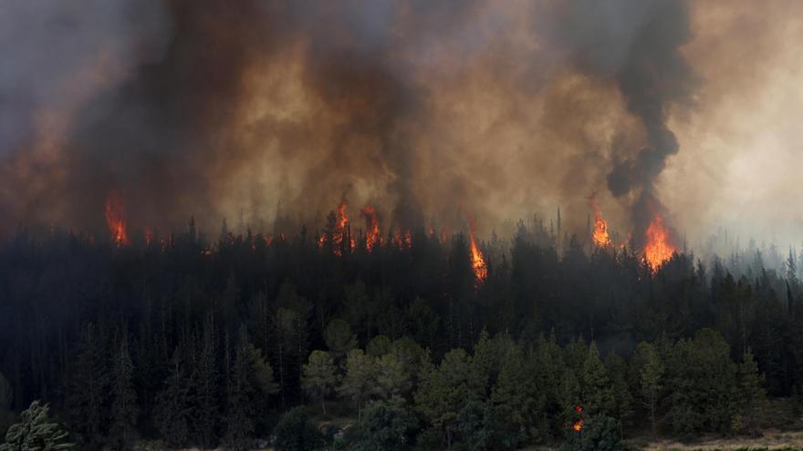 Israel pide asistencia internacional por los devastadores incendios en los alrededores de Jerusalén
