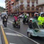 Invasión de Vespas en Cangas de Onís y Covadonga