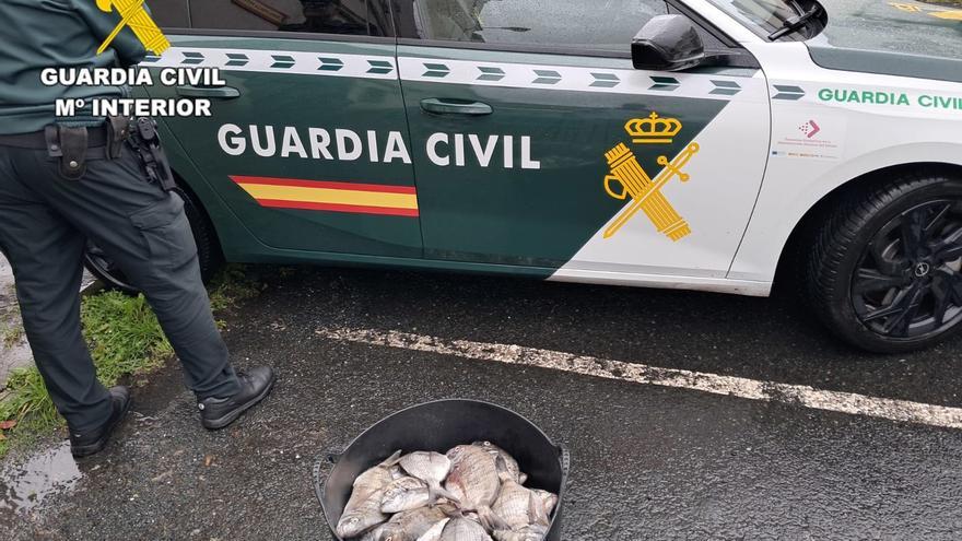Dos pescadores asturianos sancionados tras pescar más de 30,5 kilos de sargos en Galicia