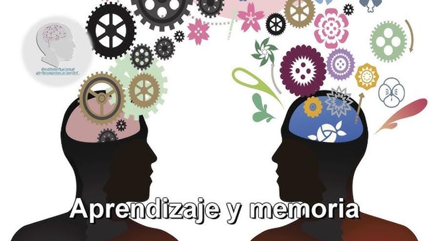 Repetir no es aprender: ¿Existen alternativas a la memorización?