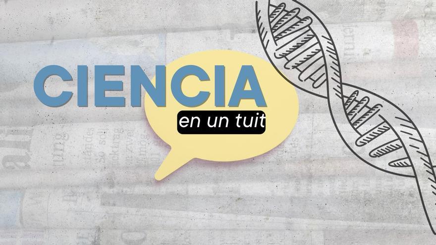 La ciencia en un tuit: cerebro y ultrasonidos