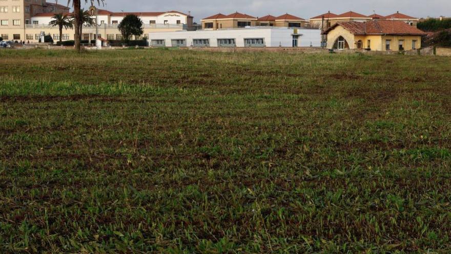 El PP se encara con Foro por el plan de la playa verde y el reparto de personal