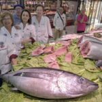 Tres propuestas para preparar un «verano superbonito» en Avilés: la receta de las guisanderas de la comarca para disfrutar del rey del verano