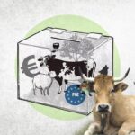 El campo asturiano celebra elecciones 23 años después marcado por las incertidumbres con la UE y la tensión por el lobo