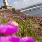 El Puerto de Avilés invertirá 15,8 millones en obras (y algunas de ellas serán en este icónico faro)