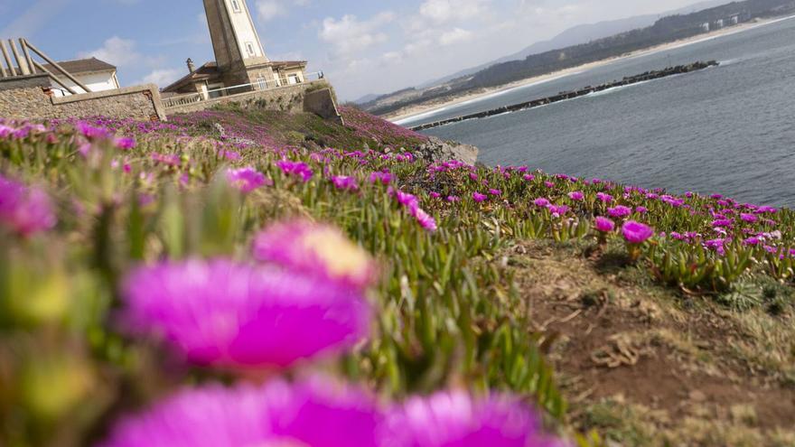 El Puerto de Avilés invertirá 15,8 millones en obras (y algunas de ellas serán en este icónico faro)
