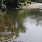 No se puede prohibir el baño en el río Nalón: esta es la conclusión de las administraciones tras ahogarse un joven en La Caldas