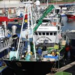Los armadores quieren tomar «el control» de Lonja Gijón (tras haberlo intentado en Avilés)