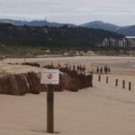 Casi tres kilómetros de captadores de arena para salvar las dunas de San Juan-El Espartal
