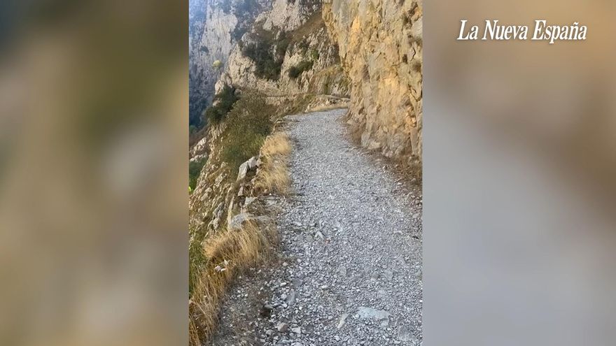 La otra herida (económica) abierta por los incendios en Asturias: la Ruta del Cares, cerrada en pleno agosto… y sin fecha de reapertura