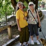 Gijón pide llevar atados a los perros en parques ante la preocupante disminución de pájaros y así reaccionan los dueños de mascotas