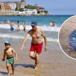 De oriente a occidente: las carabelas portuguesas afectan ya a playas de 14 concejos asturianos