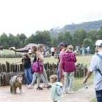 El turismo ya crece en Asturias más fuera de temporada que en verano: la curiosa radiografía del sector