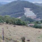 Segundo oso avistado (y fotografiado) en Salas en lo que va de mes: esta es la historia
