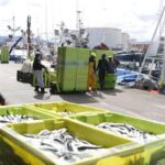 Lonja Gijón bate récord de facturación (y todavía faltan cuatro meses para acabar el año): estos son los datos