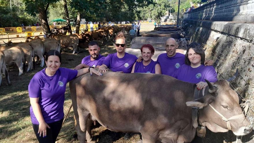 El relevo en el campo de Asturias, cuesta arriba: «Empezar desde cero con una ganadería es muy difícil»