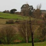 Los promotores estallan contra la falta de suelo en Avilés (y quienes se animan a comprar acabar por irse a Oviedo o Gijón)