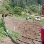 Mar Berjón, pareja del ganadero asesinado en su casa de Cueves (Ribadesella): «Los que mataron a Toño no merecen vivir»