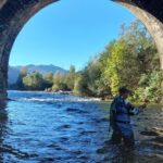 Se buscan voluntarios (remunerados) para el Mundial de Pesca Máster: estas son las condiciones