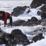La suspensión de la pesca de esta especie en el País Vasco preocupa en Asturias: estas son las previsiones para la campaña en un referente enclave angulero