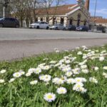 La multinacional que crece y ficha talento para su centro de I+D en Avilés