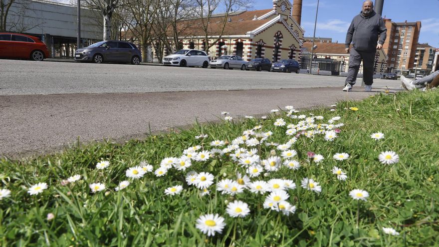 La multinacional que crece y ficha talento para su centro de I+D en Avilés