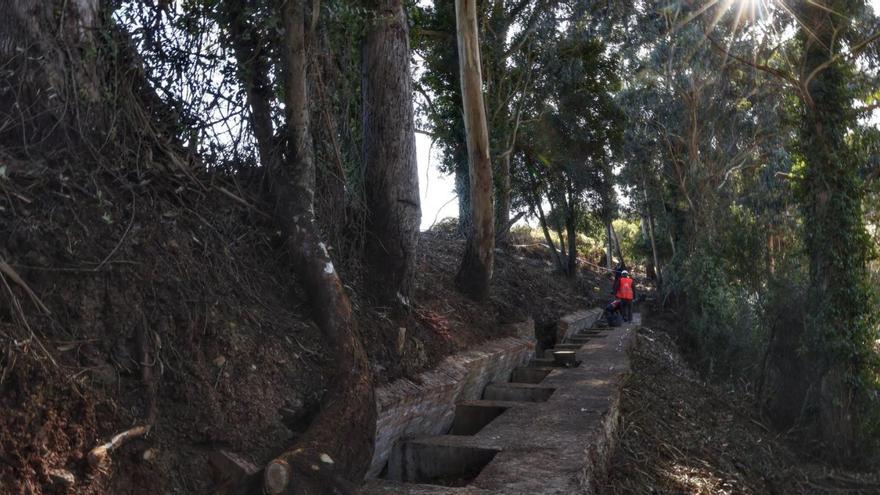 El final de las víctimas de La Lloba: las subían en camión y «se oían disparos»