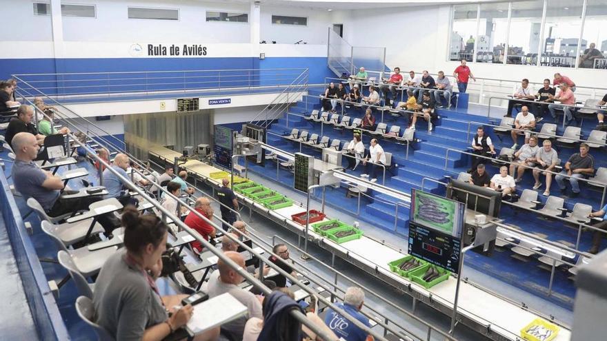 La rula de Avilés «pincha» en octubre: la escasez de este popular pescado, clave