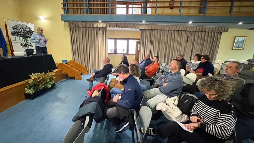 Los expertos animan a recuperar los castaños en Cangas del Narcea: “Tiene un nivel de aprovechamiento como el de una madera tropical”