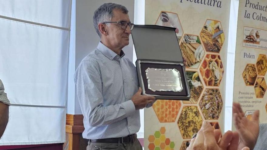 Menos miel en un año amargo para los apicultores de Aller: la avispa asiática y la sequía desploman a la mitad la producción