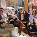 Éxito de ventas y público en la Feria del Stock: «Todo lo que se haga en Grado merece la pena»